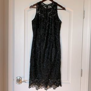 NWT White House Black Market Lace Sheath Dress size 6